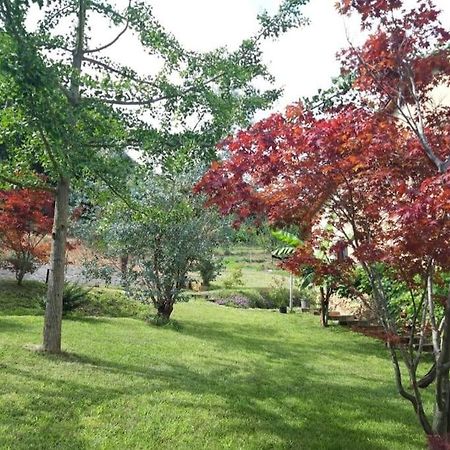 شقة Istanti - Salvia Costigliole Saluzzo المظهر الخارجي الصورة