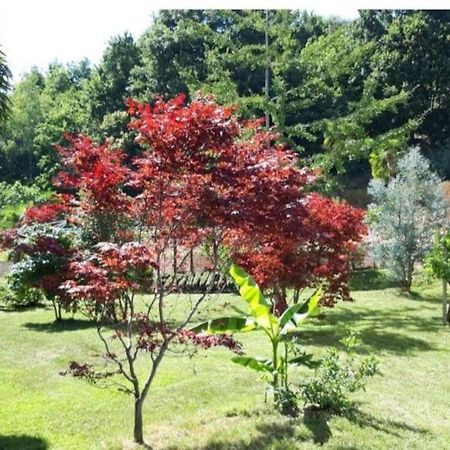 شقة Istanti - Salvia Costigliole Saluzzo المظهر الخارجي الصورة