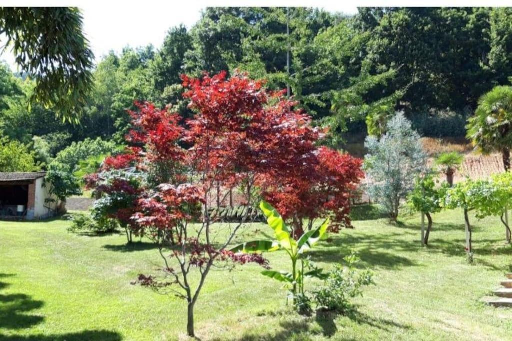 شقة Istanti - Salvia Costigliole Saluzzo المظهر الخارجي الصورة